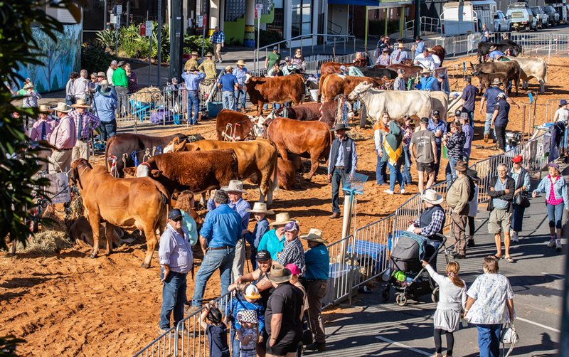 Best beef online casino in Germany